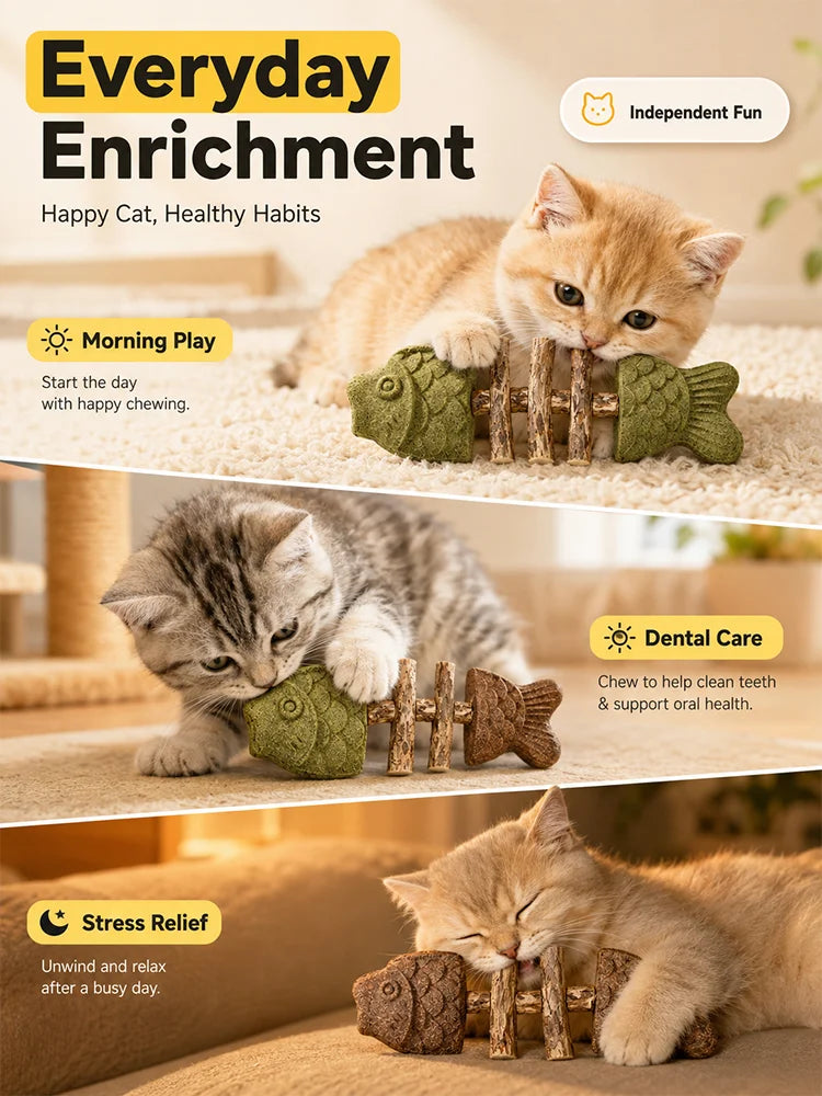 Everyday Enrichment For Indoor Cats