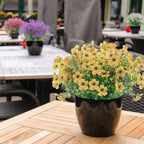 EverBloom™ Garden Flowers | Mother’s Day Special