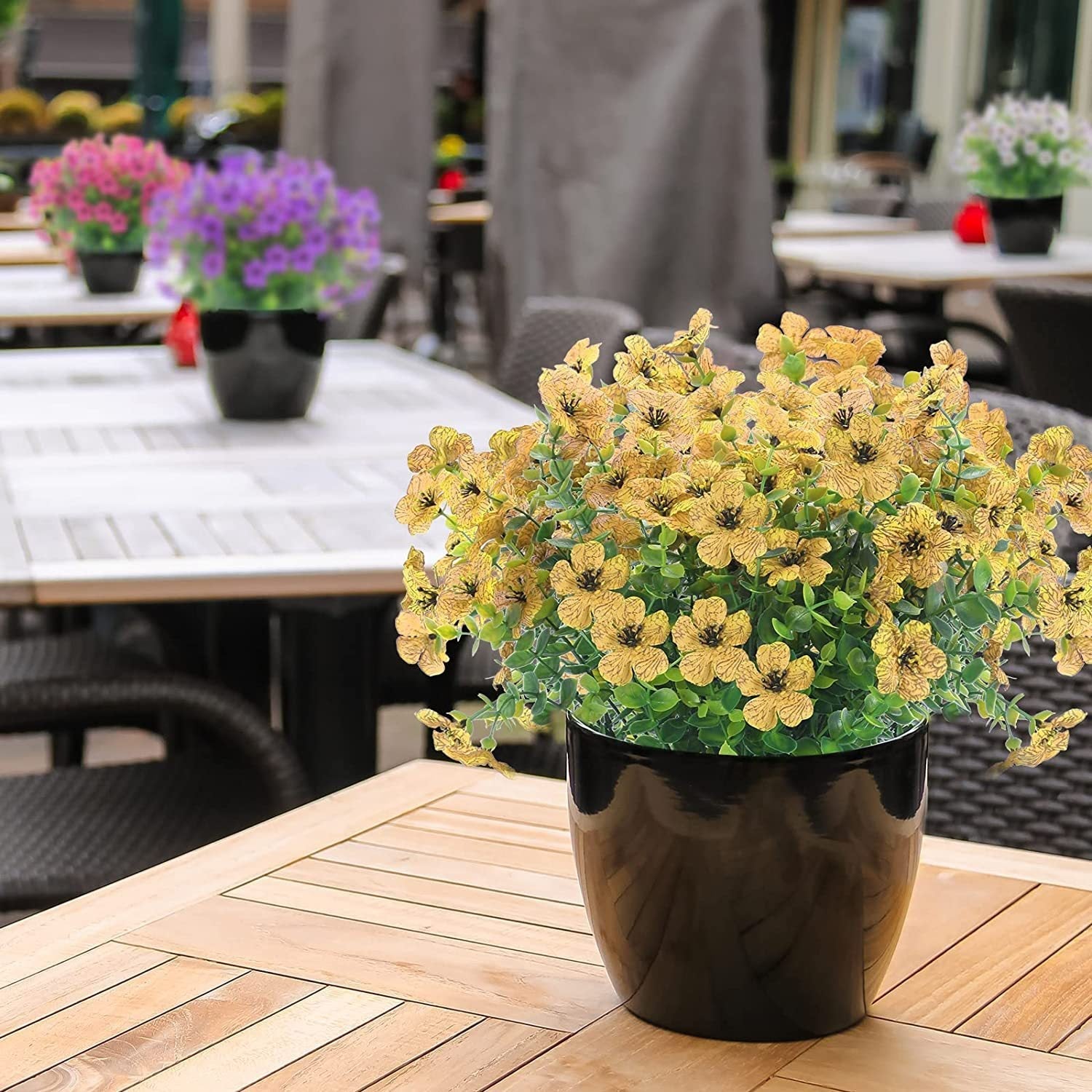 EverBloom™ Garden Flowers | Mother’s Day Special