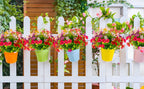 EverBloom™ Garden Flowers | Mother’s Day Special