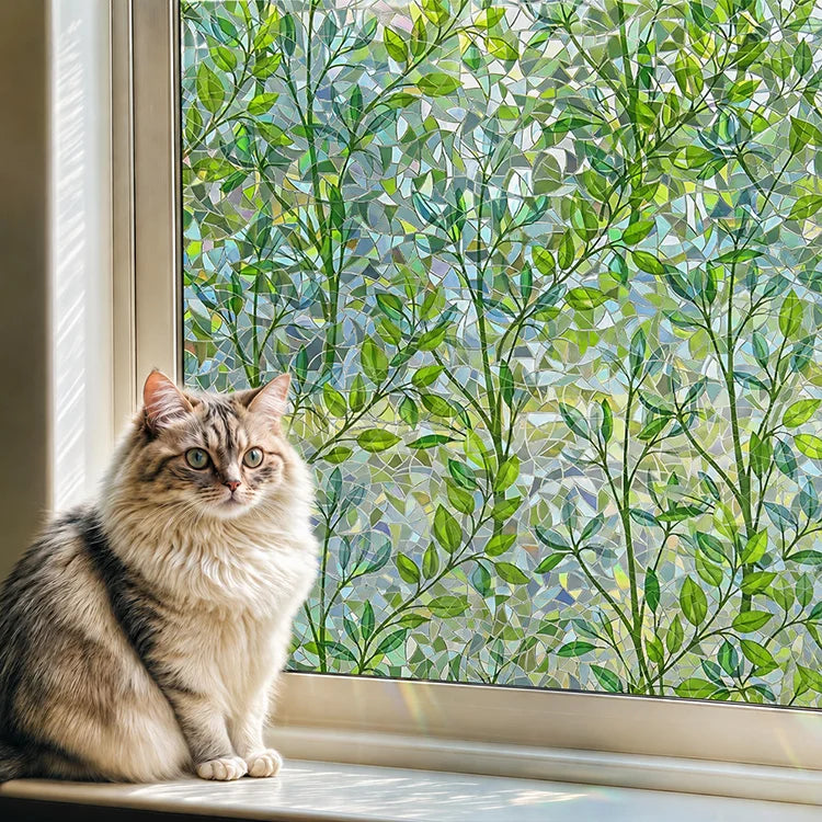 Rainbow Privacy Window Film