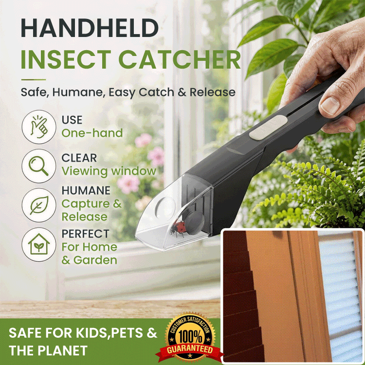 Hand-Held Insect Catcher