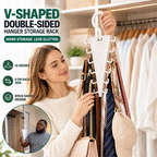 12-Hook Double-Sided Closet Organizer