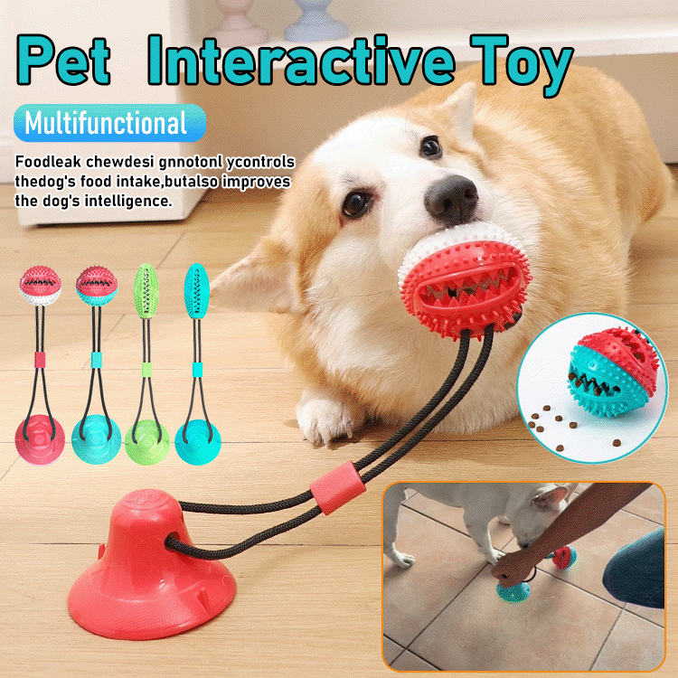PawGrip - Interactive Chew Ball