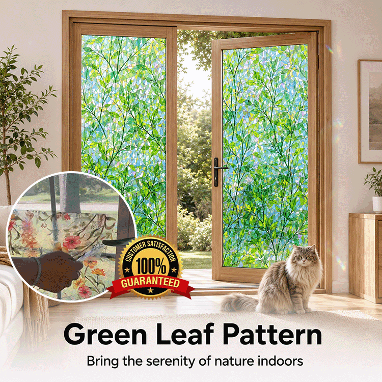 Rainbow Privacy Window Film