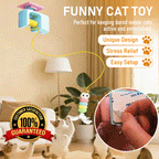 Auto Play Hanging Cat Toy – Keeps Cats Busy While You’re Away