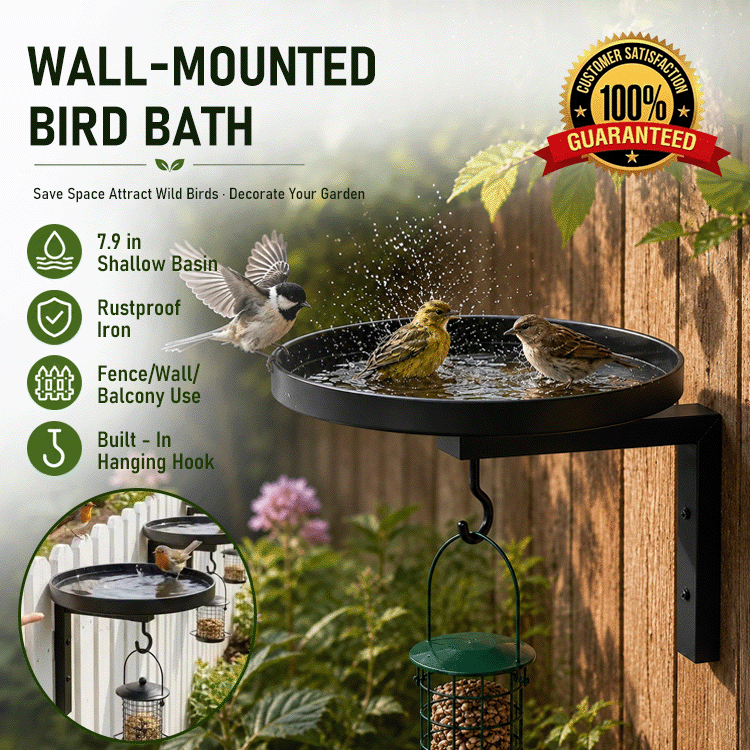 Wall-Mounted Metal Bird Bath & Feeder Station