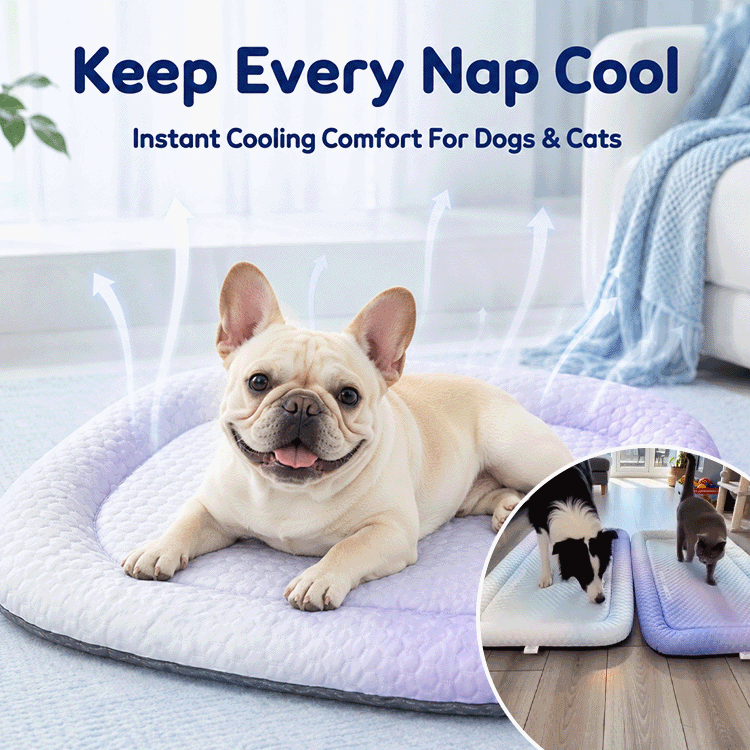 Ice Bean Cooling Pet Mat