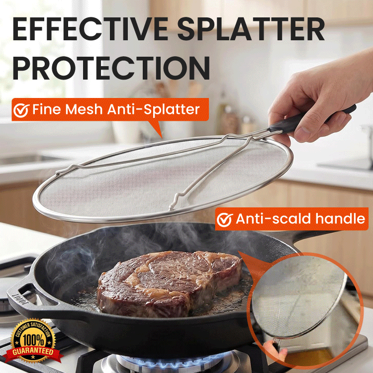 Stainless Steel Anti-Splatter Mesh Screen