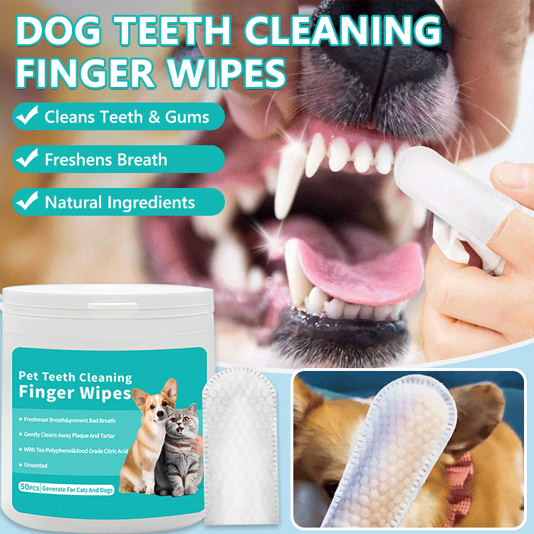 PawPure Dental Finger Wipes – Easy Pet Teeth Cleaning