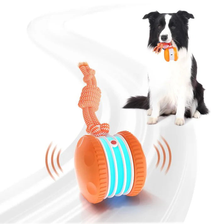 🐶The PetSkitter™ — The Smart Toy Pets Can’t Ignore🐱