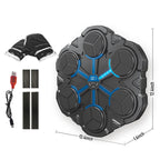 Music Boxing Trainer Pro