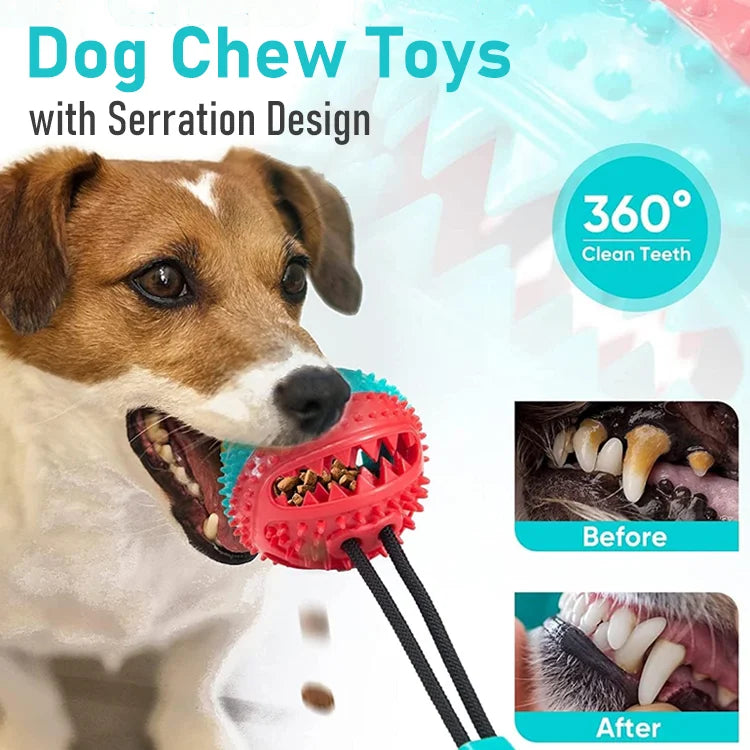 PawGrip - Interactive Chew Ball