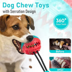 PawGrip - Interactive Chew Ball