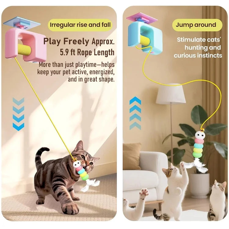 Auto Play Hanging Cat Toy – Keeps Cats Busy While You’re Away