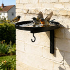 Wall-Mounted Metal Bird Bath & Feeder Station