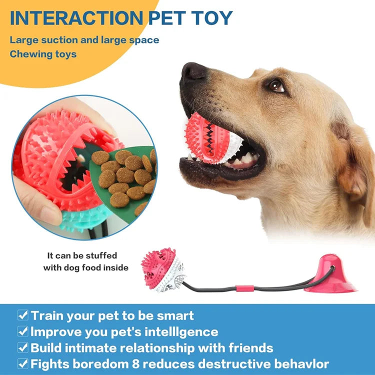 PawGrip - Interactive Chew Ball