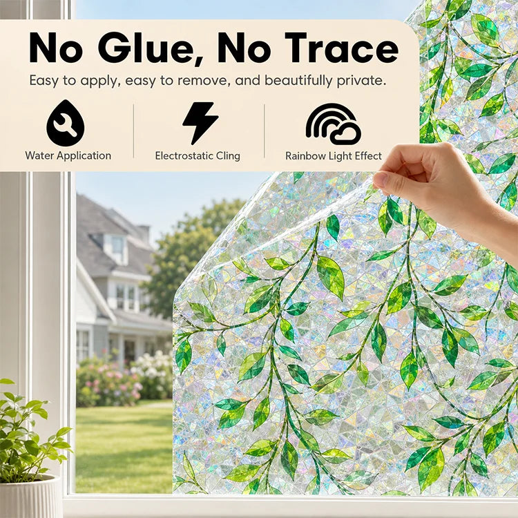 Rainbow Privacy Window Film