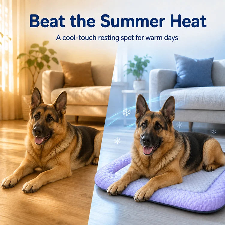 Ice Bean Cooling Pet Mat