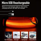 PawSnooze – USB Rechargeable LED Safety Dog Collar