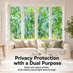 Rainbow Privacy Window Film