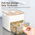 Press & Release Ice Cube Maker