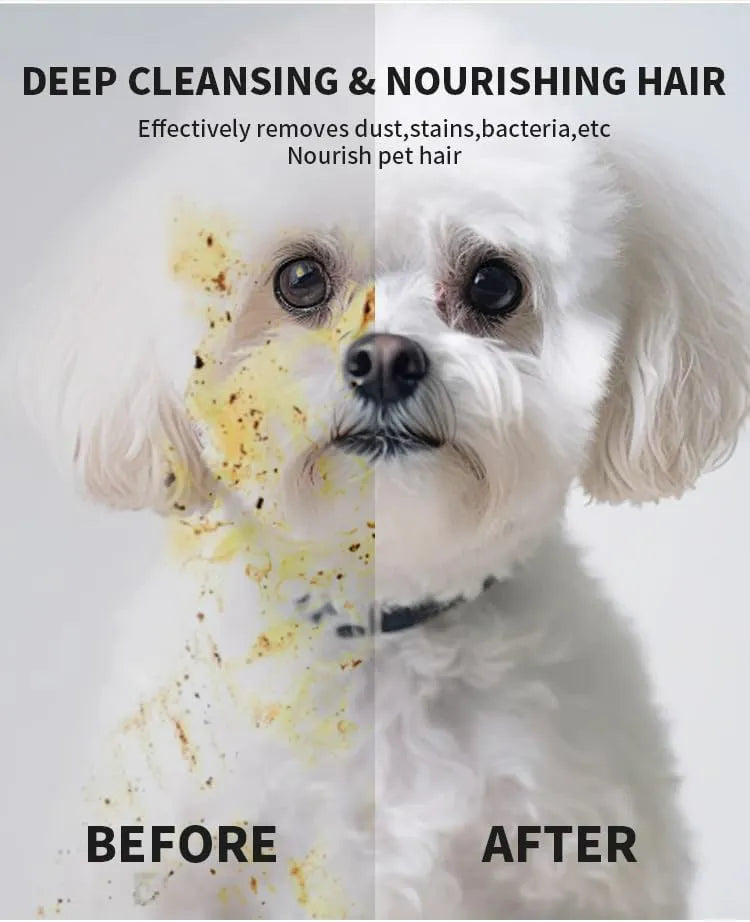FurPure Pet Cleaning Gloves (Rinse-Free | 6-Pack)