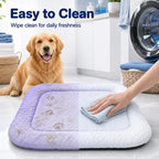 Ice Bean Cooling Pet Mat
