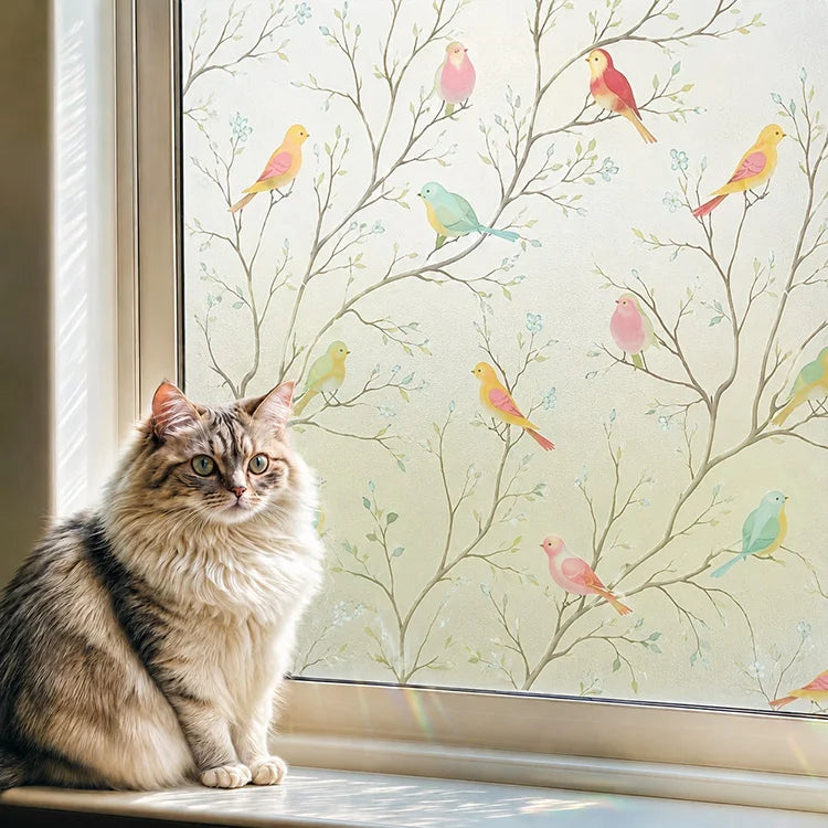 Rainbow Privacy Window Film