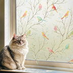 Rainbow Privacy Window Film