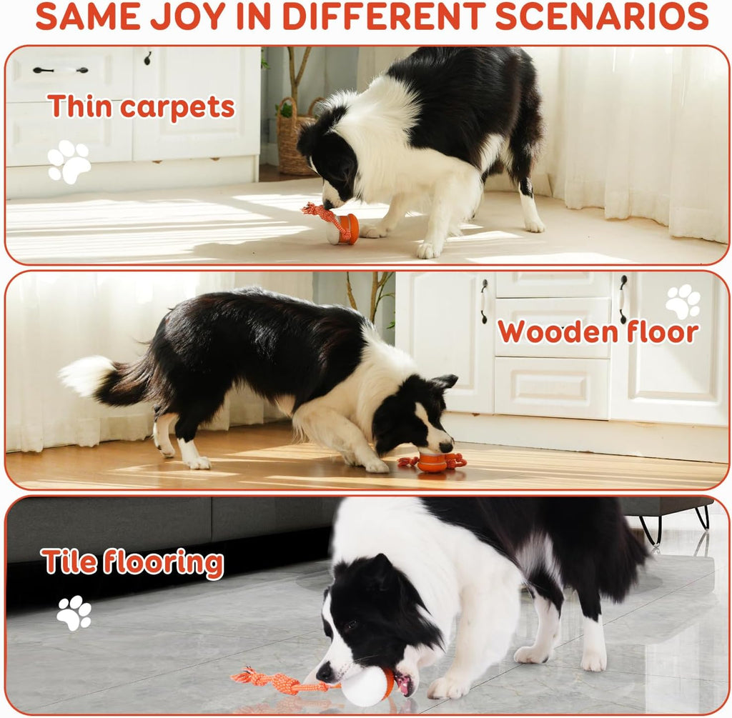 🐶The PetSkitter™ — The Smart Toy Pets Can’t Ignore🐱