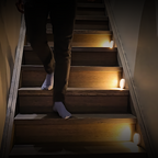 Sensi™ Motion Light