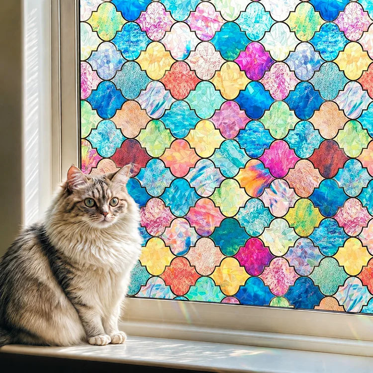 Rainbow Privacy Window Film