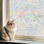 Rainbow Privacy Window Film