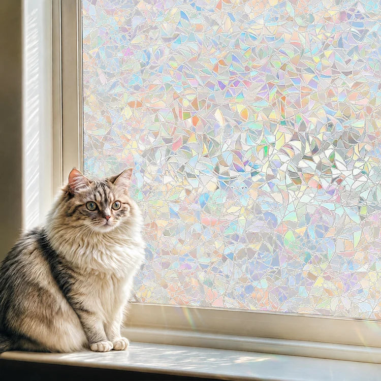 Rainbow Privacy Window Film