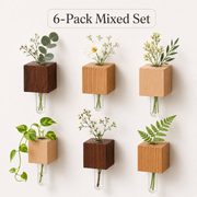 6-Pack Mixed Set