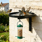 Wall-Mounted Metal Bird Bath & Feeder Station