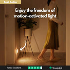 Sensi™ Motion Light