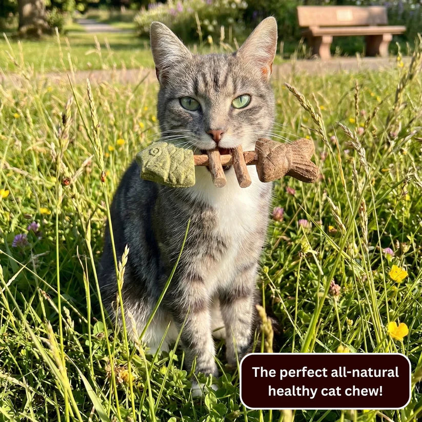 3-in-1 Catnip & Silvervine Chew