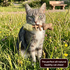 3-in-1 Catnip & Silvervine Chew