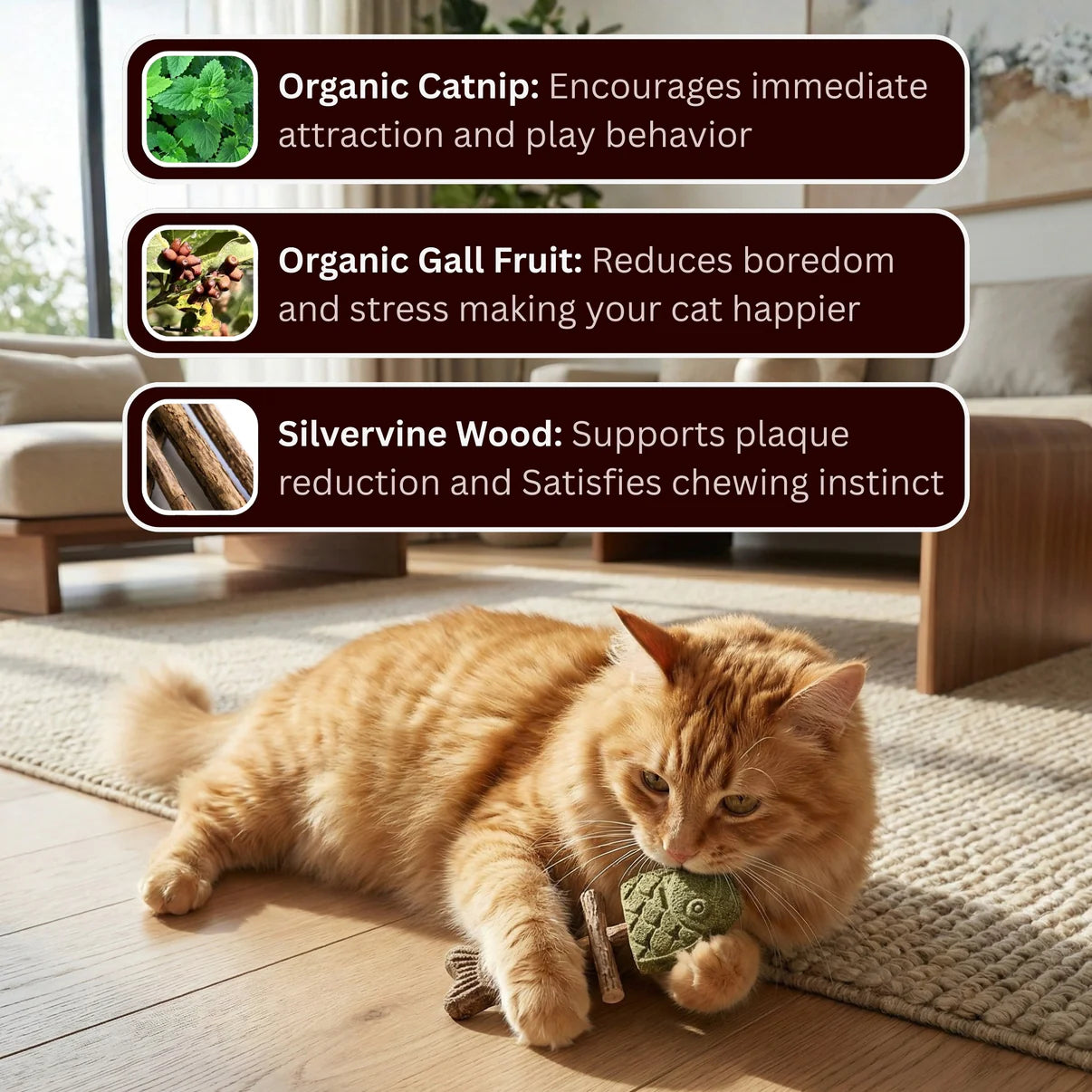 3-in-1 Catnip & Silvervine Chew