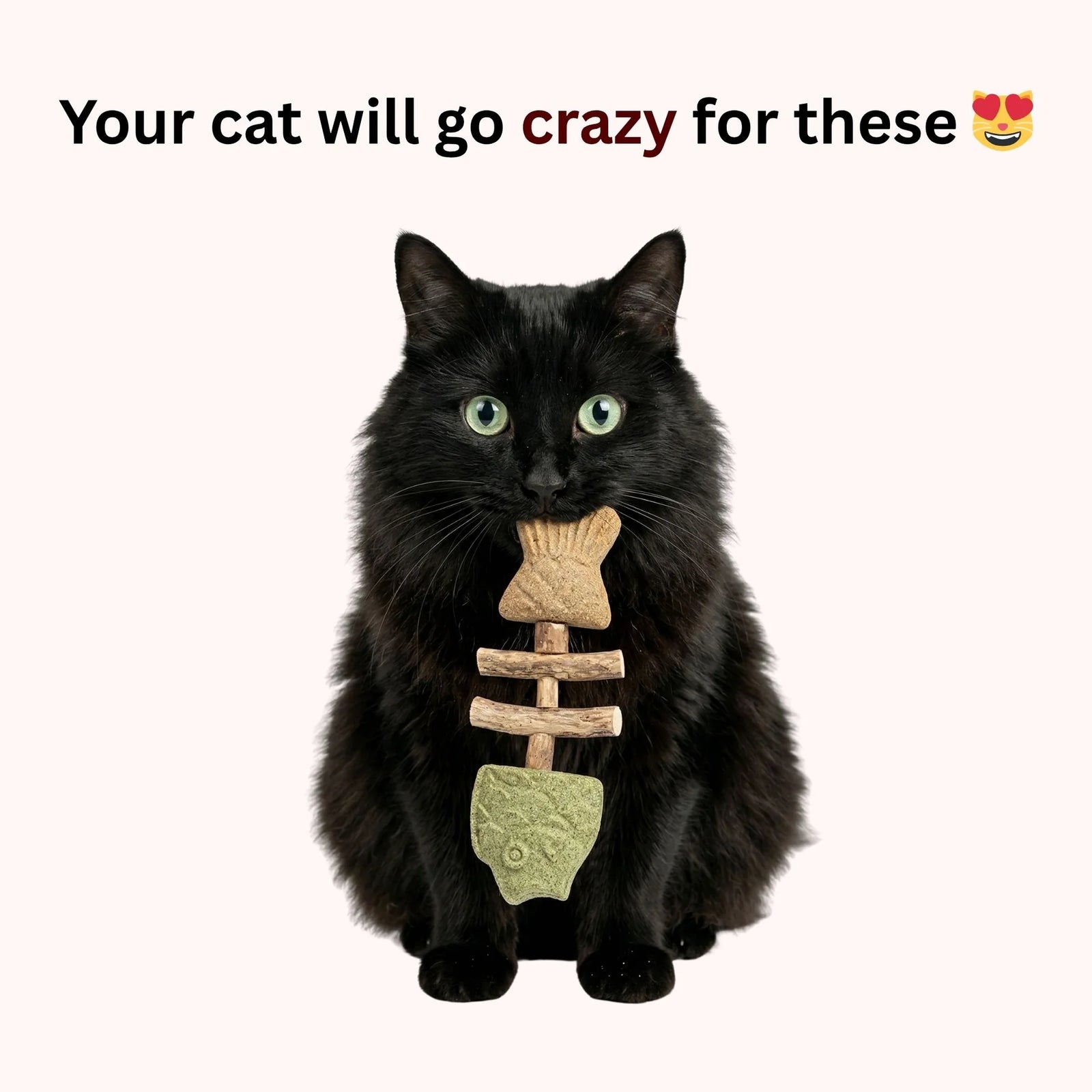 Natural Chewing Fun Cats Actually Want